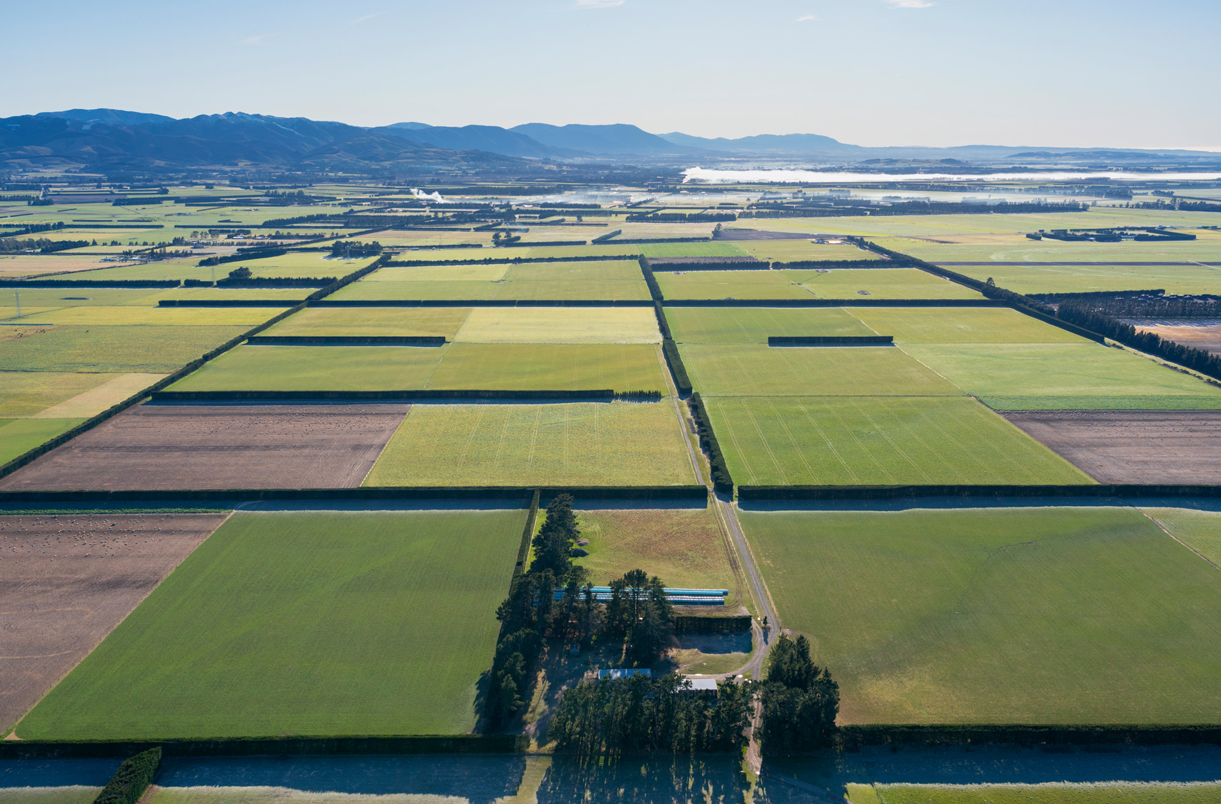 Aerial view of Canterbury farmland near Christchurch, home of Dairyworks